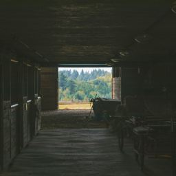 Thème 2 : Araignée